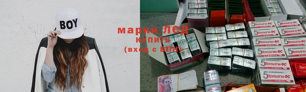 ПСИЛОЦИБИНОВЫЕ ГРИБЫ Нея