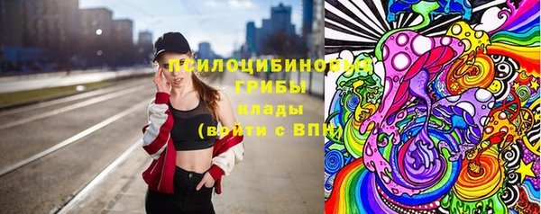 ГАЛЛЮЦИНОГЕННЫЕ ГРИБЫ Нефтекумск