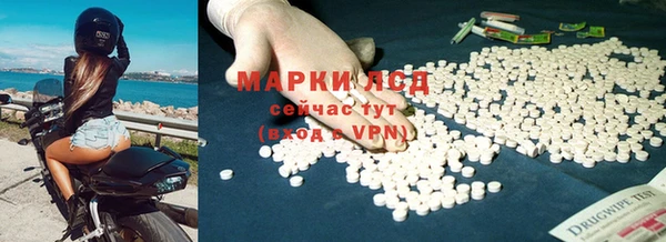 ПСИЛОЦИБИНОВЫЕ ГРИБЫ Нея