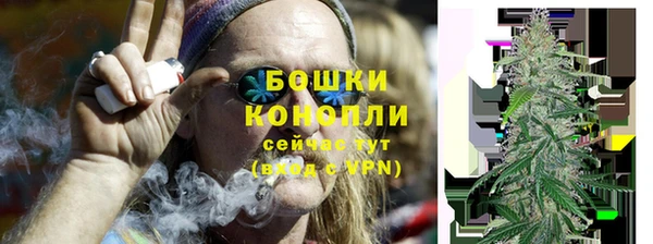 ПСИЛОЦИБИНОВЫЕ ГРИБЫ Нея
